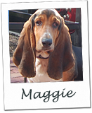 Maggie