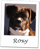 Roxy